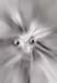 RID.AD.72.039