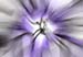 RID.AD.72.056