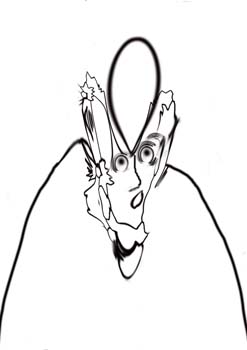 Odd 081