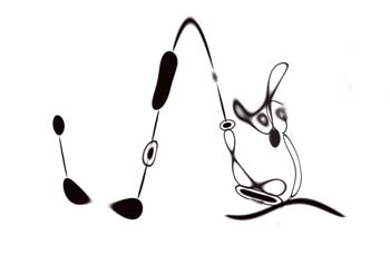 Odd 091