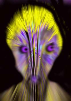 R.M.DEM-0041