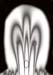 R.M.DEM-0059