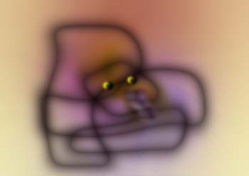 joj88jpg