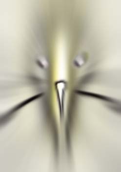 RID_HAL_72_1253