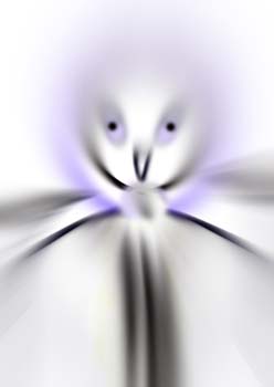 RID_HAL_72_1255