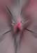 RID_HAL_72_1258