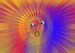 RID_HAL_72_1287