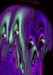 RID_HAL_72_1297