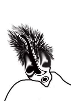 Odd 049
