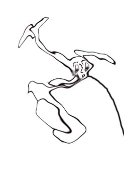 Odd 051