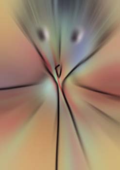 RID_GH_72_023