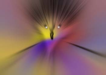 RID_GH_72_026