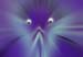 RID_GH_72_010