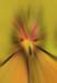 RID_GH_72_018