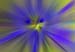 RID_GH_72_02