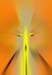 RID_GH_72_032
