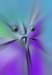 RID_GH_72_037