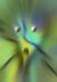 RID_GH_72_038