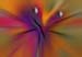 RID_GH_72_040