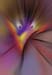 RID_GH_72_041