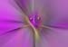 RID_GH_72_047