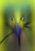 RID_GH_72_048