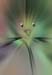 RID_GH_72_055