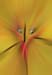 RID_GH_72_057