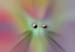 RID_GH_72_060
