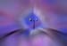RID_GH_72_061