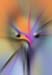RID_GH_72_062