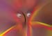 RID_GH_72_063
