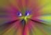 RID_GH_72_065