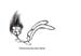 RID_ID_72-026