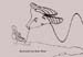 RID_ID_72-047