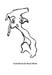 RID_ID_72-048